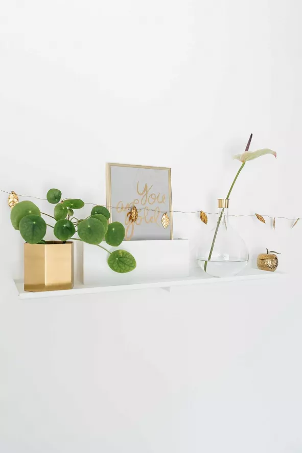 Puik Duplex Wandplank Donkergroen 2 Puik Duplex Wandplank Donkergroen - Afbeelding 2