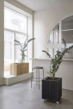 Squarely Copenhagen GrowLARGE Plantenbak Incl Waterreservoir 90x45, Donker Eiken -Beste Meubelcollectie Winkel x886x886 squarely growbig plantenbak incl waterreservoir 45x453.jpg.pagespeed.ic .za4Zjrt7KY