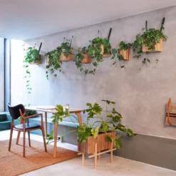 Squarely Copenhagen GrowLARGE Plantenbak Incl Waterreservoir 90x45, Donker Eiken -Beste Meubelcollectie Winkel x886x886 squarely growlarge plantenbak incl waterreservoir 90x454.jpg.pagespeed.ic .f7Da E1JU6