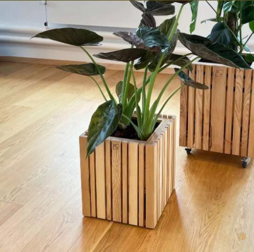 Squarely Copenhagen GrowMORE Plantenbak Incl Waterreservoir 35x35 Naturel Essen 9 Squarely Copenhagen GrowMORE Plantenbak Incl Waterreservoir 35x35 Naturel Essen - Afbeelding 9