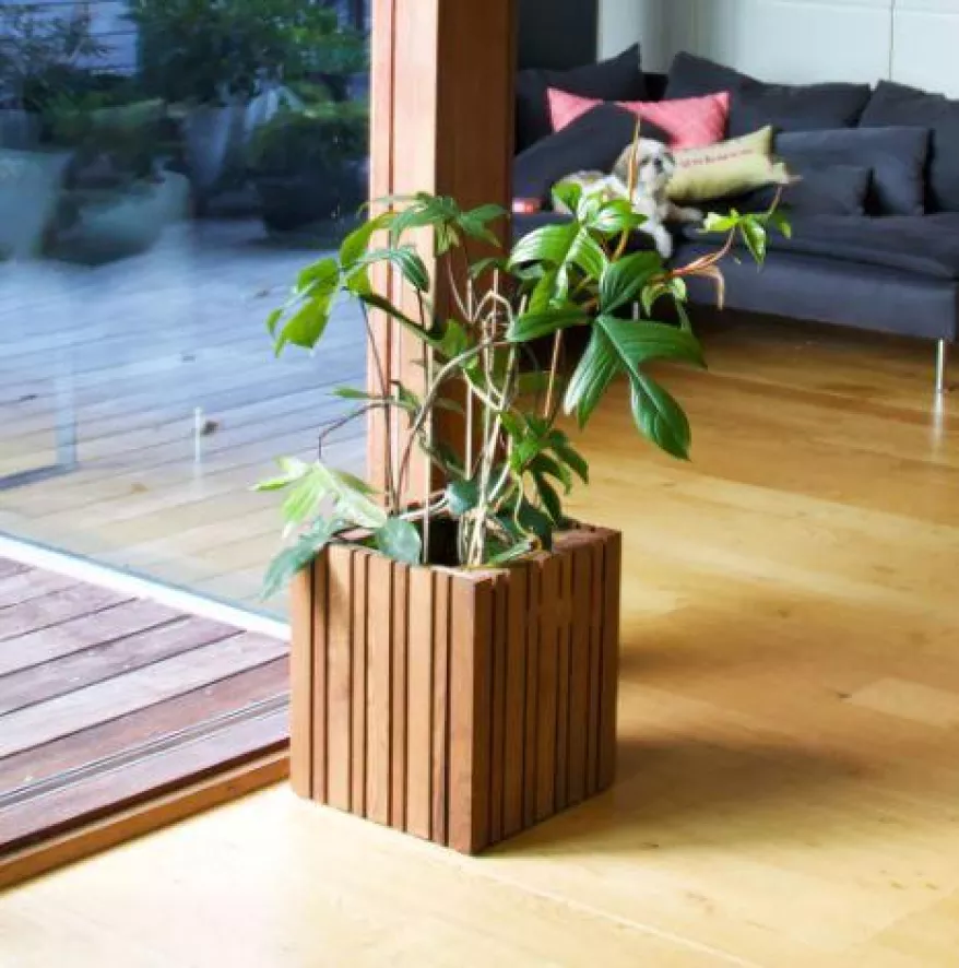 Squarely Copenhagen GrowMORE Plantenbak Incl Waterreservoir 35x35 Naturel Essen 10 Squarely Copenhagen GrowMORE Plantenbak Incl Waterreservoir 35x35 Naturel Essen - Afbeelding 10