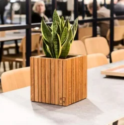 Squarely Copenhagen GrowON Plantenbak Incl Waterreservoir 22x22 Naturel Essen -Beste Meubelcollectie Winkel x886x886 squarely growon plantenbak incl waterreservoir 22x227.JPG.pagespeed.ic .3D7aZltw2p