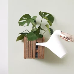 Squarely Copenhagen GrowON Plantenbak Incl Waterreservoir 22x22 Naturel Essen -Beste Meubelcollectie Winkel x886x886 squarely growon plantenbak incl waterreservoir 22x227.jpg.pagespeed.ic .ib3XmK iW