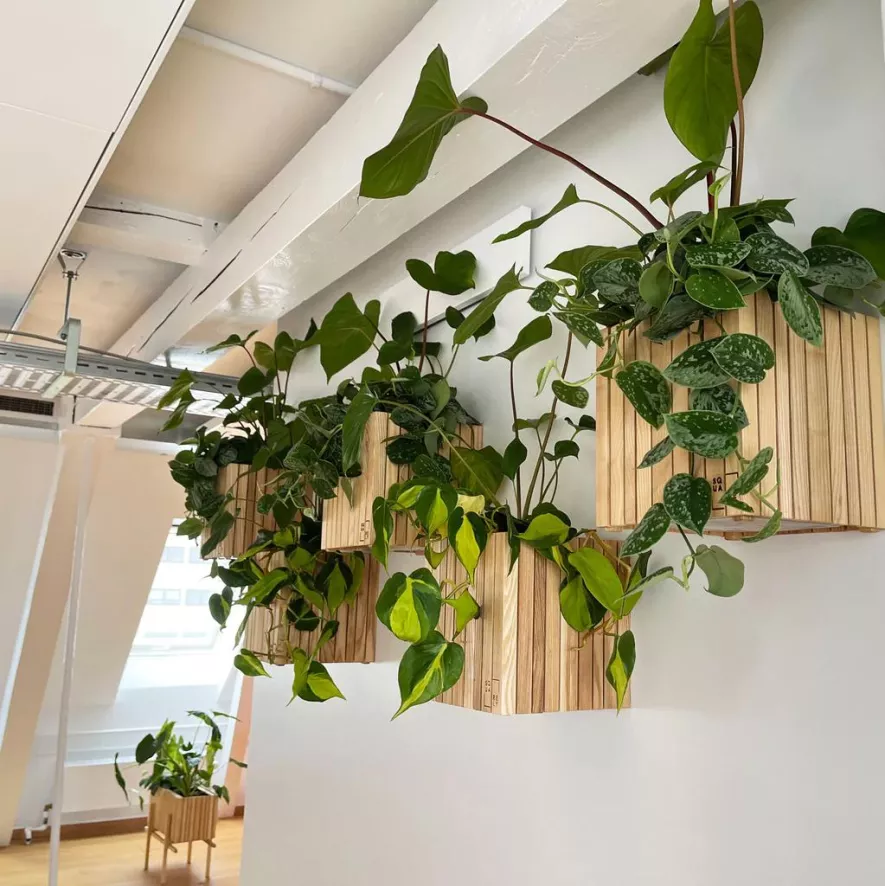 Squarely Copenhagen GrowON Wall Hangende Plantenbak Incl Reservoir 22x22 Dark Oak 3 Squarely Copenhagen GrowON Wall Hangende Plantenbak Incl Reservoir 22x22 Dark Oak - Afbeelding 3