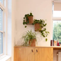 Squarely Copenhagen GrowON Wall Hangende Plantenbak Incl Reservoir 22x22 Dark Oak 19 Squarely Copenhagen GrowON Wall Hangende Plantenbak Incl Reservoir 22x22 Dark Oak -Beste Meubelcollectie Winkel x886x886 squarely growon wall hangende plantenbak incl reservoir 22x225.jpg.pagespeed.ic .enaN6i50FE