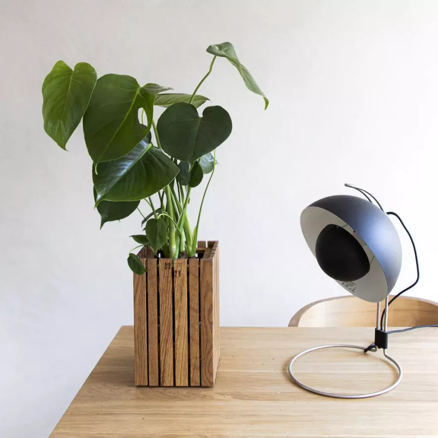 Squarely Copenhagen GrowSmall Wall Hangende Plantenbak + Reservoir 14x14 Dark Oak 4 Squarely Copenhagen GrowSmall Wall Hangende Plantenbak + Reservoir 14x14 Dark Oak - Afbeelding 4