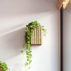 Squarely Copenhagen GrowSmall Wall Hangende Plantenbak + Reservoir 14x14 Dark Oak 15 Squarely Copenhagen GrowSmall Wall Hangende Plantenbak + Reservoir 14x14 Dark Oak -Beste Meubelcollectie Winkel x886x886 squarely growsmall wall hangende plantenbak incl reservoir 14x141.jpg.pagespeed.ic .Ja5rH1s9Uh