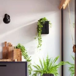 Squarely Copenhagen GrowSmall Wall Hangende Plantenbak + Reservoir 14x14 Dark Oak 18 Squarely Copenhagen GrowSmall Wall Hangende Plantenbak + Reservoir 14x14 Dark Oak -Beste Meubelcollectie Winkel x886x886 squarely growsmall wall hangende plantenbak incl reservoir 14x144.jpg.pagespeed.ic .E3W8QrYrE6