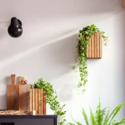 Squarely Copenhagen GrowSmall Wall Hangende Plantenbak + Reservoir 14x14 Dark Oak 19 Squarely Copenhagen GrowSmall Wall Hangende Plantenbak + Reservoir 14x14 Dark Oak -Beste Meubelcollectie Winkel x886x886 squarely growsmall wall hangende plantenbak incl reservoir 14x145.jpg.pagespeed.ic .P7l6Ym3uoZ