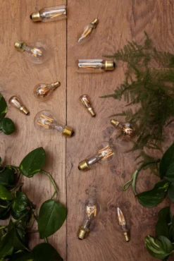 Tala LED Globe LED Lichtbron E27 6W 2500K Helder Dimbaar 10 Tala LED Globe LED Lichtbron E27 6W 2500K Helder Dimbaar -Beste Meubelcollectie Winkel x886x886 tala led pluto led lichtbron 3w e14 non tinted6.jpg.pagespeed.ic .zccqGtCmbk