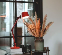 Tonone Bolt 2 Arm Bureaulamp Small Ash Grey 10 Tonone Bolt 2 Arm Bureaulamp Small Ash Grey -Beste Meubelcollectie Winkel x886x886 tonone bolt 2 arm bureaulamp small8.jpg.pagespeed.ic .mHTbD2hkxX