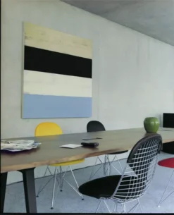 Vitra Eames Wire Chair DKR-2 Stoel Verchroomd Onderstel Hopsak 05 -Beste Meubelcollectie Winkel x886x886 vitra eames wire chair dkr stoel verchroomd onderstel2.jpg.pagespeed.ic .eeXRepttSw