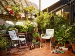 Vitra S-Tidy Opberger Poppy Red 18 Vitra S-Tidy Opberger Poppy Red -Beste Meubelcollectie Winkel x886x886 vitra s tidy opberger6.jpg.pagespeed.ic .VJQ9y69flt