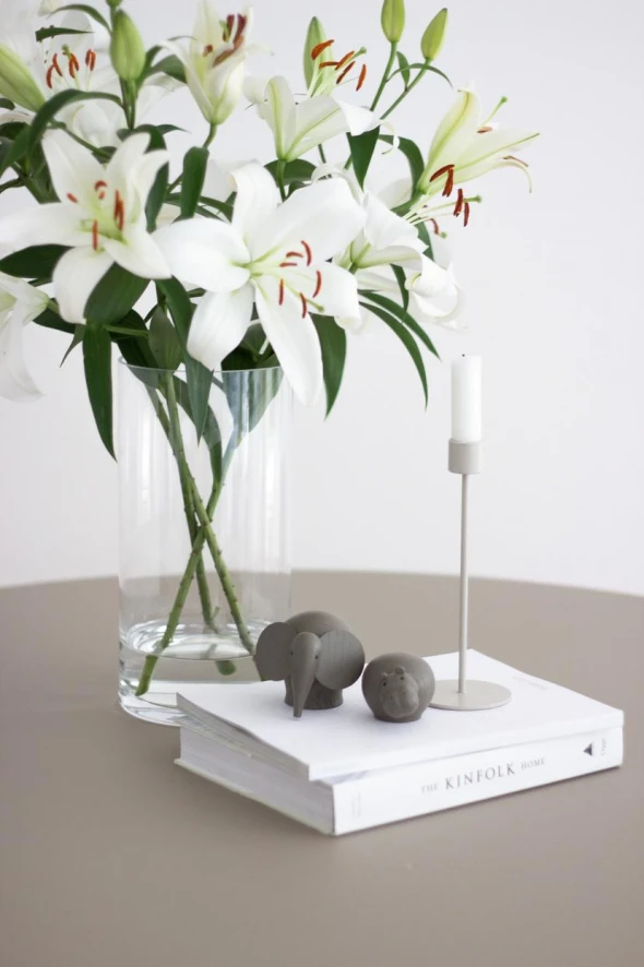 Woud Hibo Collectors Item Mini Oak 6 Woud Hibo Collectors Item Mini Oak - Afbeelding 6